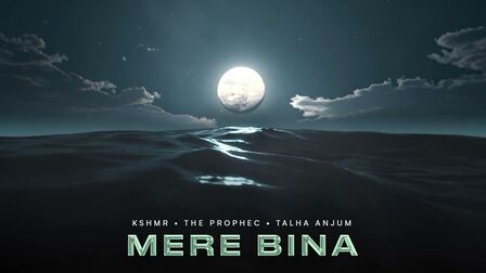 Mere Bina Lyrics- The PropheC | Talha Anjum